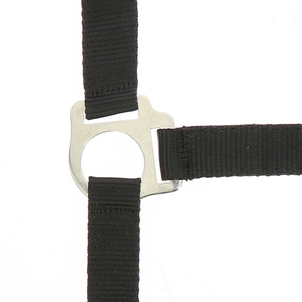 Licol + lead RIDING WORLD - Club, vue 3