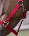 Licol + lead RIDING WORLD - Club, vue 9
