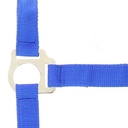 Licol + lead RIDING WORLD - Club, vue 12