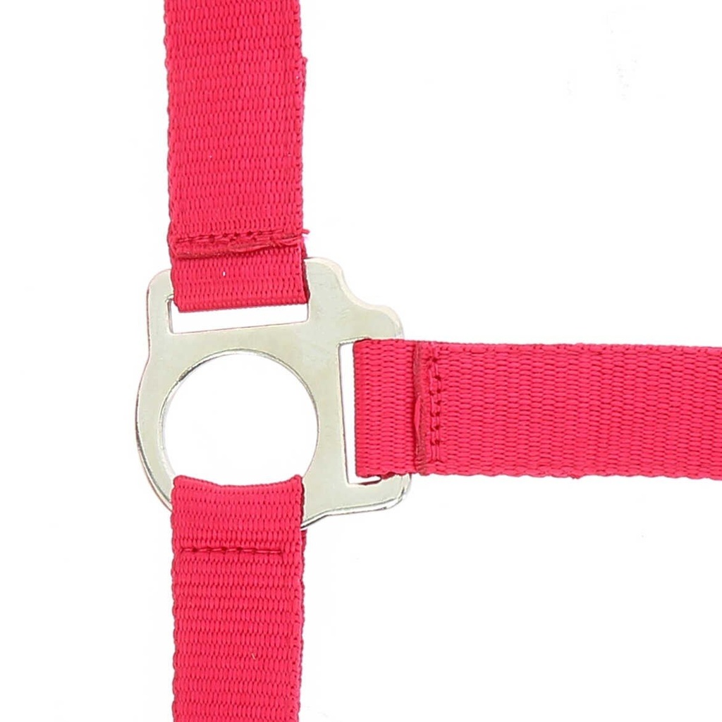 Licol + lead RIDING WORLD - Club, vue 16