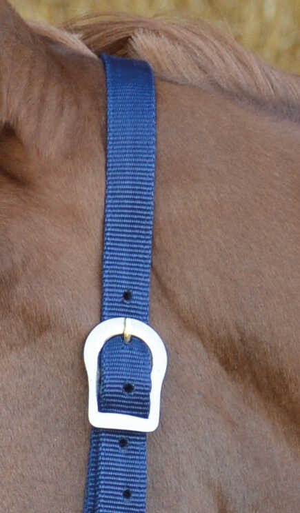RIDING WORLD Licol, vue 7