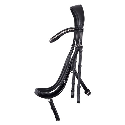 Bridon Anatomic Lacque