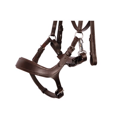 Bridon Anatomic Release