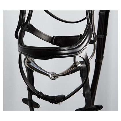 Bridon HKM Anatomic porté sur la tête du cheval