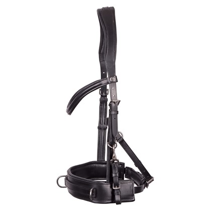 Bridon Cavesson Cuir Confort