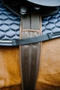 NORTON anatomical strap - Evolution, vue 3
