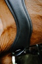 NORTON anatomical strap - PROTEC, vue 4