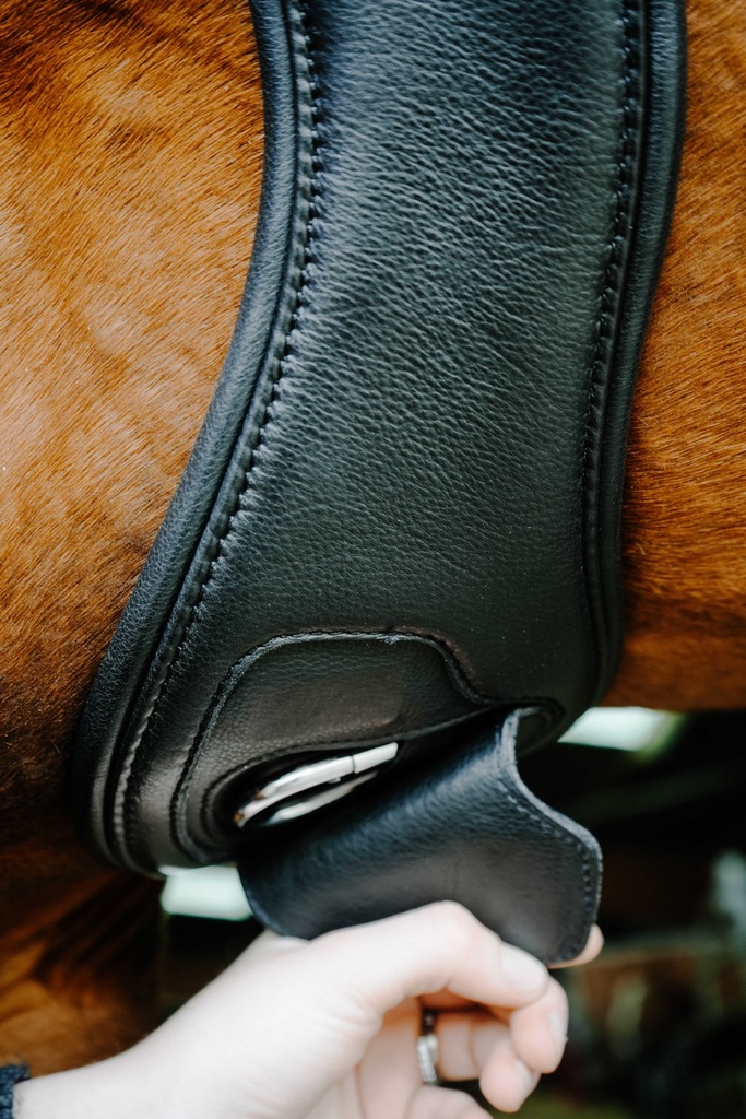 NORTON anatomical strap - PROTEC, vue 5