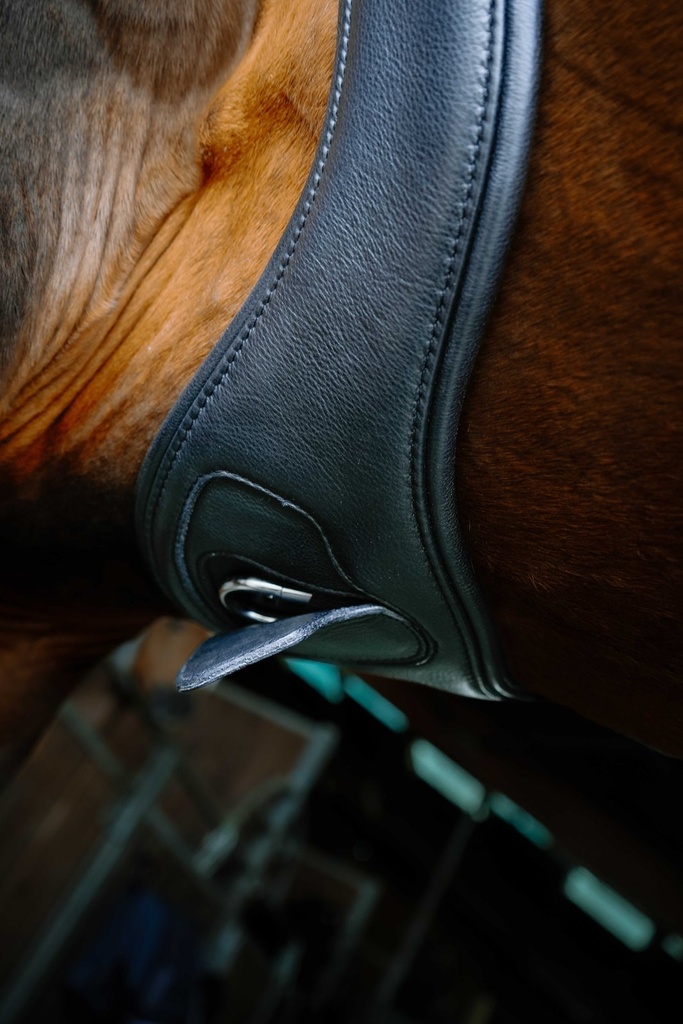 NORTON anatomical strap - PROTEC, vue 6