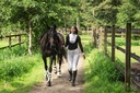 LAMI-CELL fetlock guards - Comfort Bamboo, vue 2