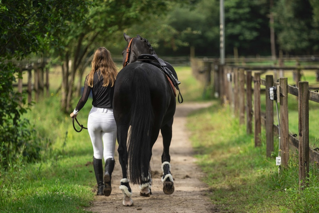 LAMI-CELL fetlock guards - Comfort Bamboo, vue 3