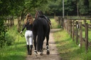 LAMI-CELL fetlock guards - Comfort Bamboo, vue 3