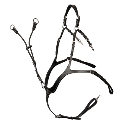 Collier de chasse Deluxe