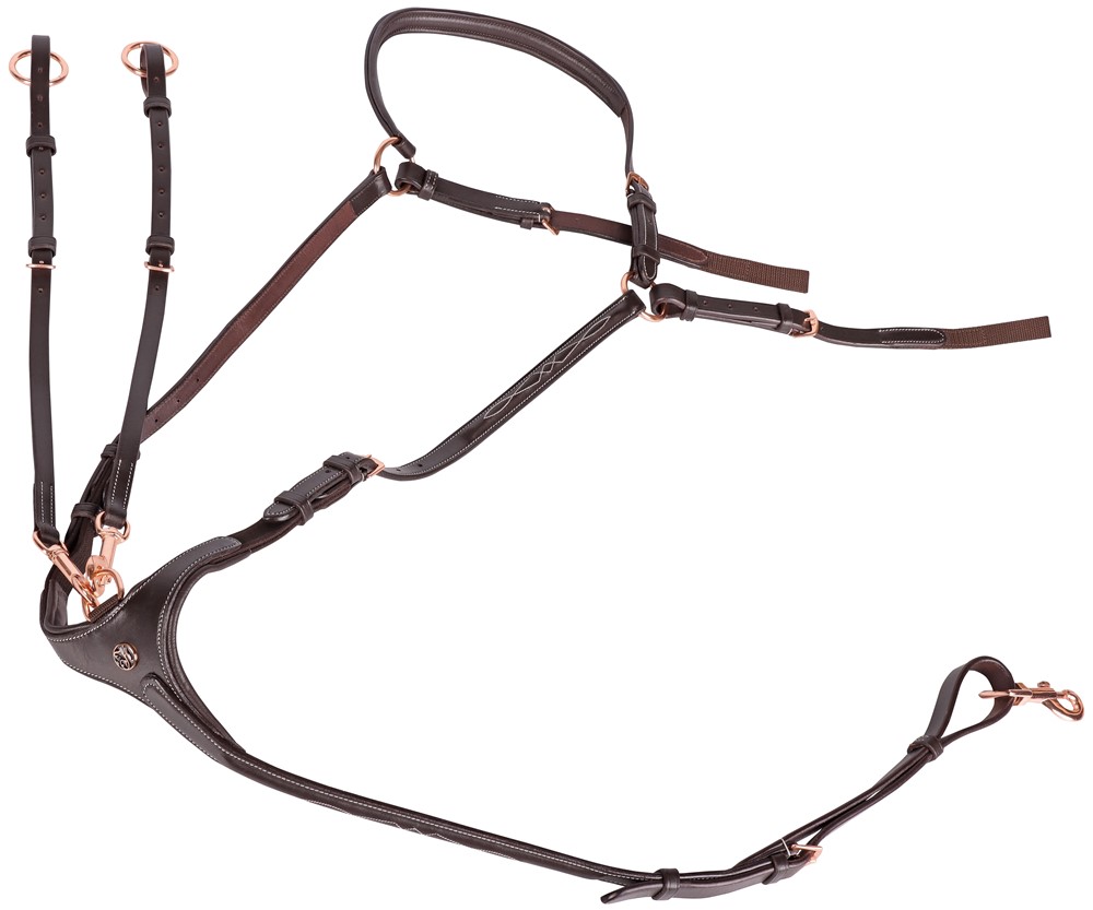 Collier de chasse Rosegold