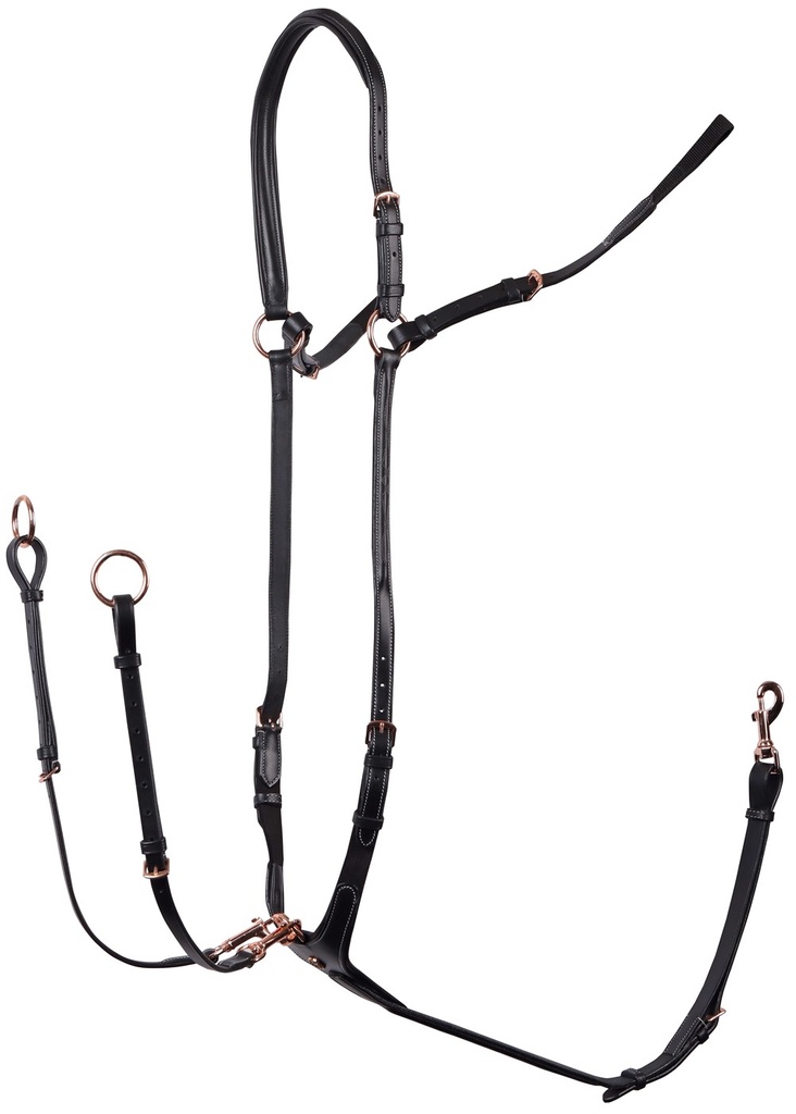 Collier de chasse Rosegold