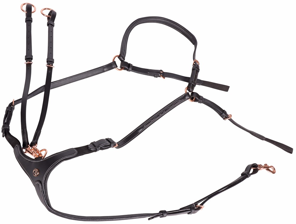 Collier de chasse Rosegold