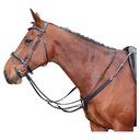 Collier de chasse, élastique