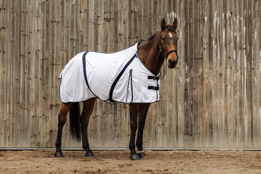 EQUITHÈME chemise anti-insectes - Mesh, vue 6