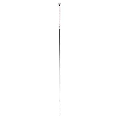 Cravache de dressage Précieux