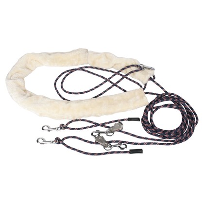 Enrênement d'aide à la longe