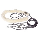 Enrênement d'aide à la longe