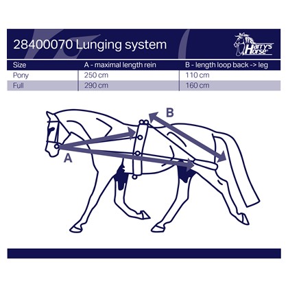 Enrênement d'aide à la longe