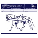 Enrênement d'aide à la longe