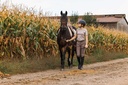 EQUITHÈME Originals Pants - Jessie, vue 4