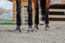 EQUITHÈME polo bands, vue 6