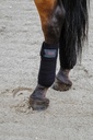 EQUITHÈME polo bands, vue 7