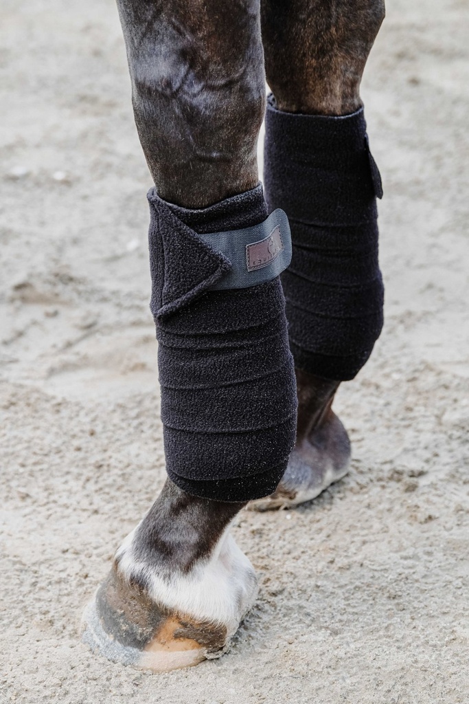 EQUITHÈME polo bands, vue 8