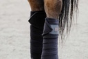 EQUITHÈME polo bands, vue 9