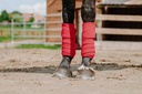 EQUITHÈME polo bands, vue 13