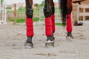 EQUITHÈME polo bands, vue 15