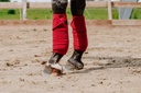 EQUITHÈME polo bands, vue 16