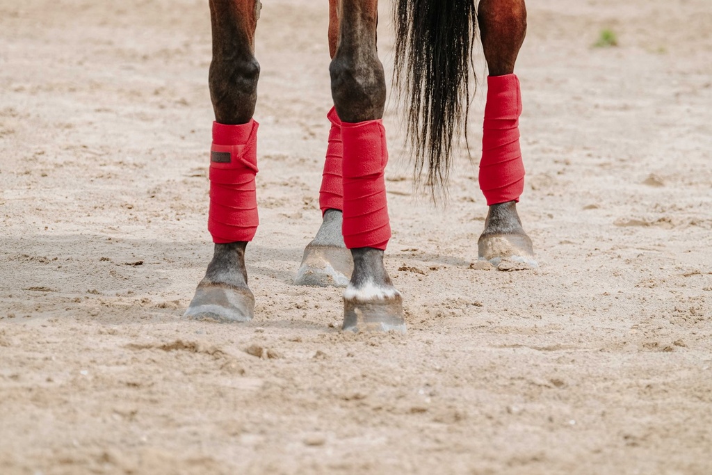 EQUITHÈME polo bands, vue 17