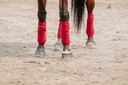 EQUITHÈME polo bands, vue 17