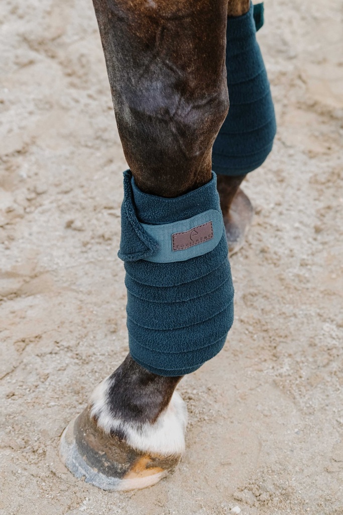 EQUITHÈME polo bands, vue 29