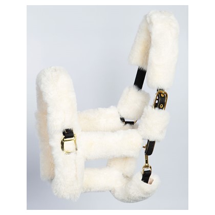 Furry licol fourreau