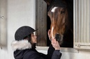 EQUITHÈME Helmet - Glint Lamé, vue 5