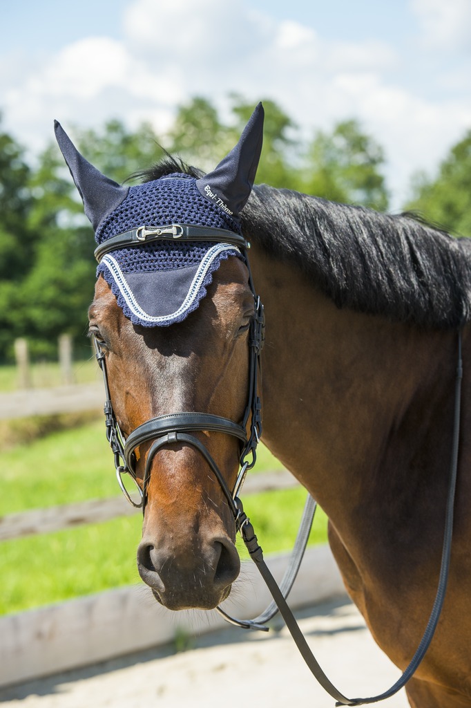 Bonnet chasse-mouches EQUITHÈME "Diamond"