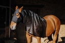 EQUITHEME full neck protection - Lycra/Mesh, vue 3