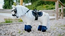 PONY ACADEMY mini selle + sangle, vue 2