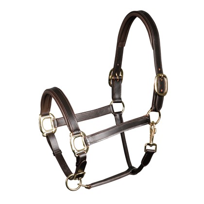 Licol cuir, padded