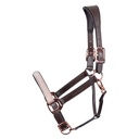 Licol en cuir Broadway