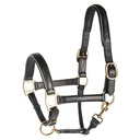Licol en cuir noir doublé or ou argent