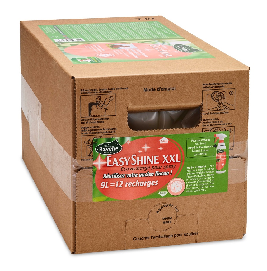 Easy Shine RAVENE - Polishing Detangler, vue 2