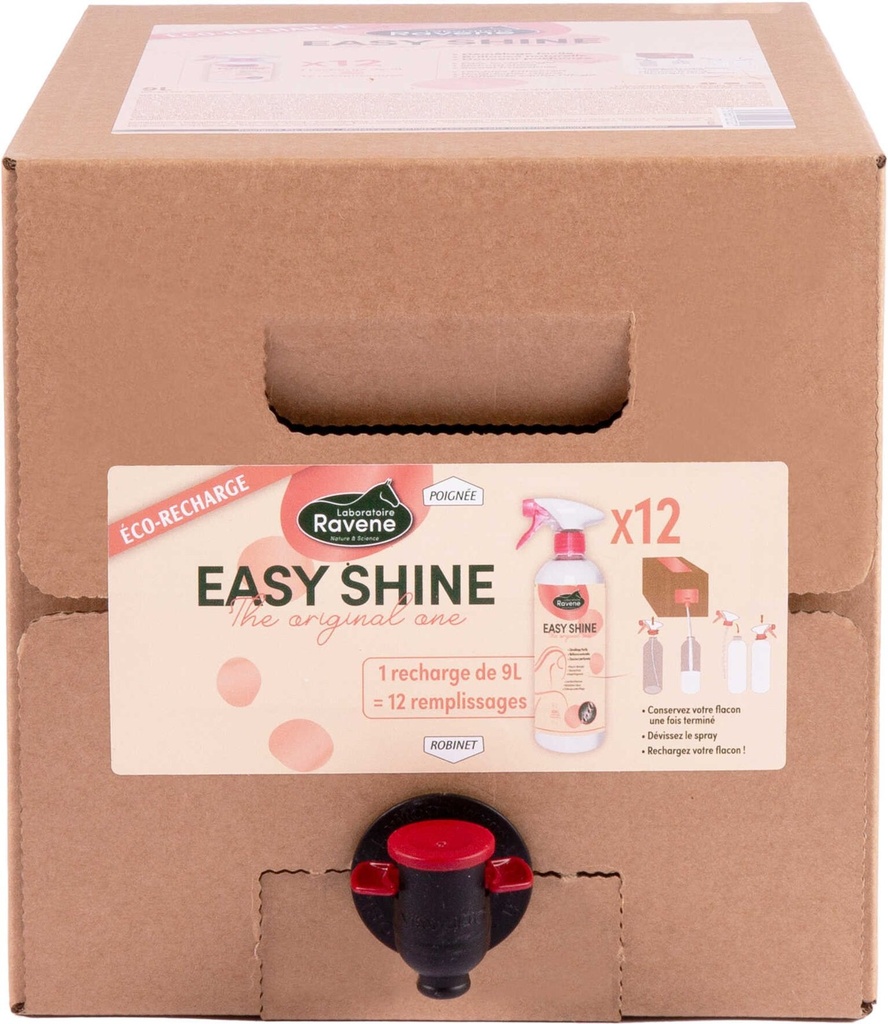 Easy Shine RAVENE - Polishing Detangler, vue 3