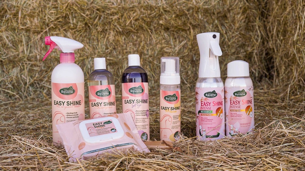 Easy Shine RAVENE - Polishing Detangler, vue 7