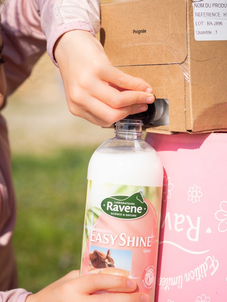 Easy Shine RAVENE - Polishing Detangler, vue 13